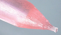 crytur 13-image-File-13-image-File-eryag2--resizecrop-c990xc400